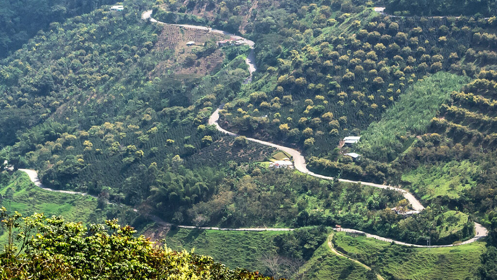 The Longest Climb in The World, Alto de Letras